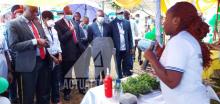 Sud-Kivu : Une foire agricole de l’IITA à Bukavu pour expliquer les activités réalisées par le PICAGEL